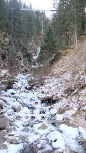 DSCF4223