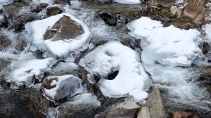DSCF4224