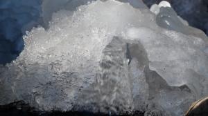 DSCF4309