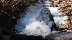 DSCF4310