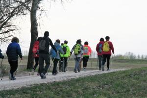IMG 0537 (FILEminimizer)