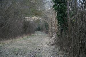 IMG 0569 (FILEminimizer)