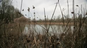 IMG 0575 (FILEminimizer)