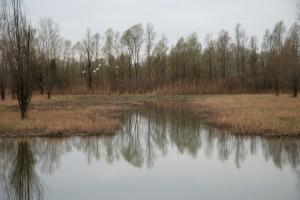 IMG 0578 (FILEminimizer)