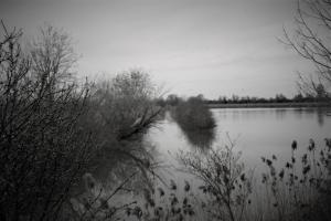 IMG 0585 (FILEminimizer)