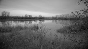 IMG 0587.1 (FILEminimizer)