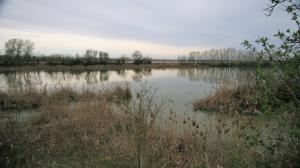 IMG 0587 (FILEminimizer)
