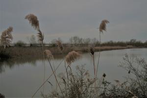 IMG 0589 (FILEminimizer)