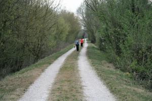 IMG 0590 (FILEminimizer)