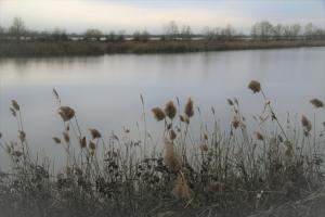 IMG 0591 (FILEminimizer)