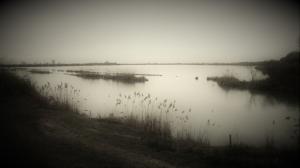 IMG 0592 (FILEminimizer)