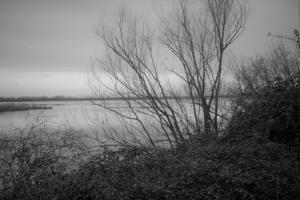 IMG 0602 (FILEminimizer)