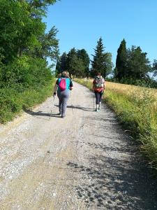 IMG 20190623 090342 (FILEminimizer)