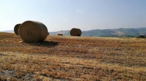 IMG 20190623 091741 (FILEminimizer)