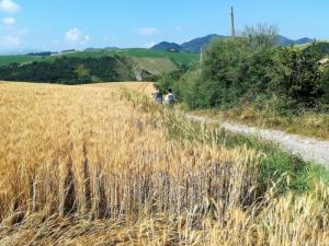 IMG 20190623 095911 (FILEminimizer)