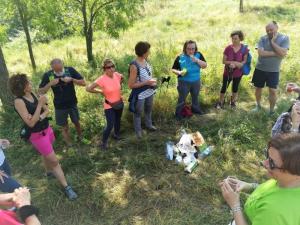 IMG 20190623 101619 (FILEminimizer)