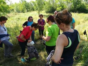 IMG 20190623 102506 (FILEminimizer)