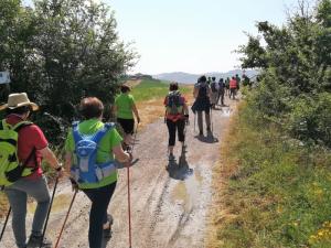 IMG 20190623 103409 (FILEminimizer)