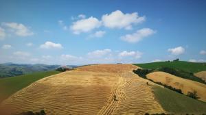 IMG 20190623 105027 (FILEminimizer)