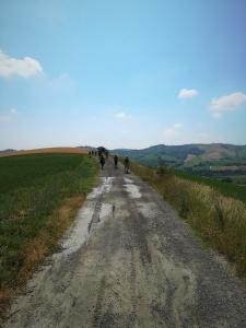 IMG 20190623 105039 (FILEminimizer)