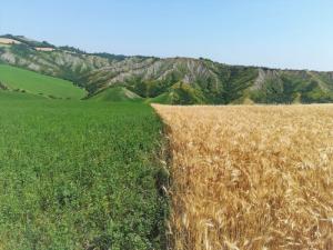 IMG 20190623 105153 (FILEminimizer)