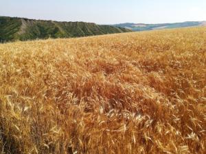 IMG 20190623 105201 (FILEminimizer)