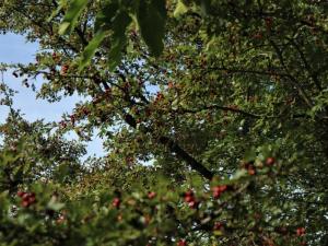 IMG 4406 (FILEminimizer)