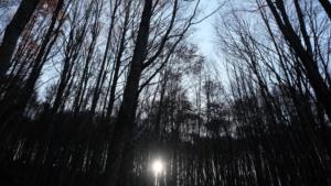 DSCF4516