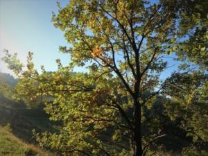 IMG 4816 (FILEminimizer)