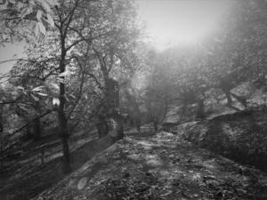 IMG 4865 (FILEminimizer)