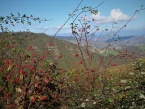 IMG 4872 (FILEminimizer)
