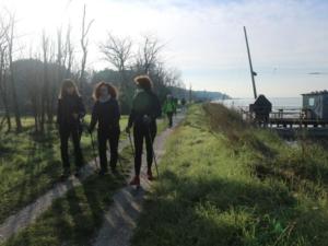 IMG 4896 (FILEminimizer)
