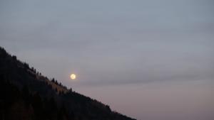 DSCF4585
