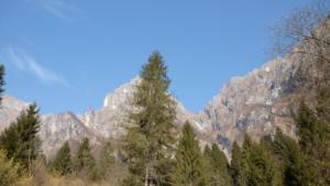 DSCF4618