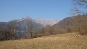DSCF4641