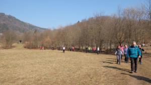 DSCF4644